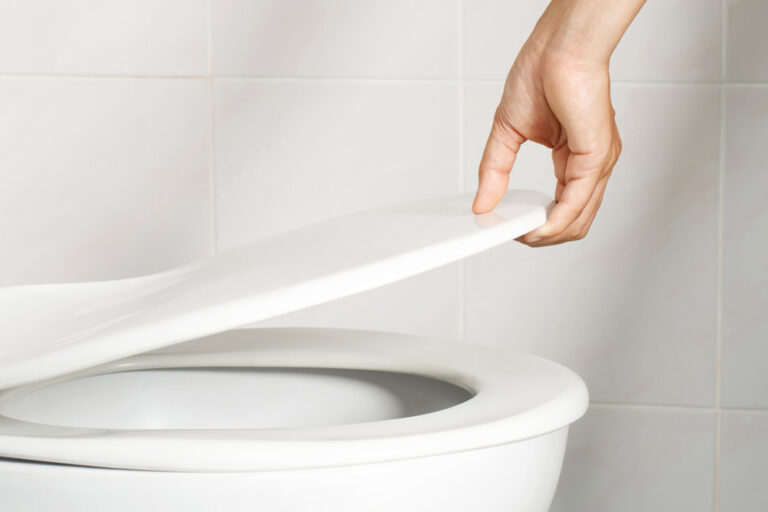 Wo Kann Ich Alte Toilette Entsorgen Klodeckel entsorgen: Wohin kommt der alte WC-Sitz?