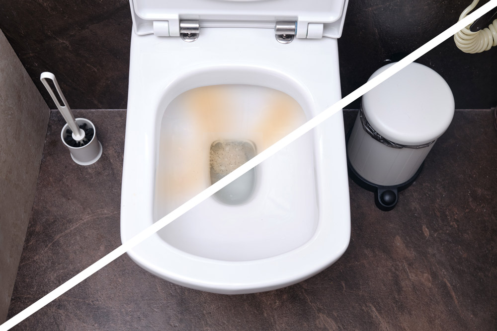 Verfärbungen Toilette entfernen